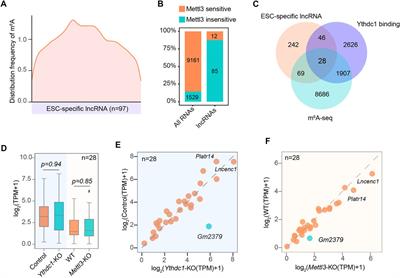 Dynamic Transcriptome Profiling Reveals LncRNA-Centred Regulatory Networks in the Modulation of Pluripotency